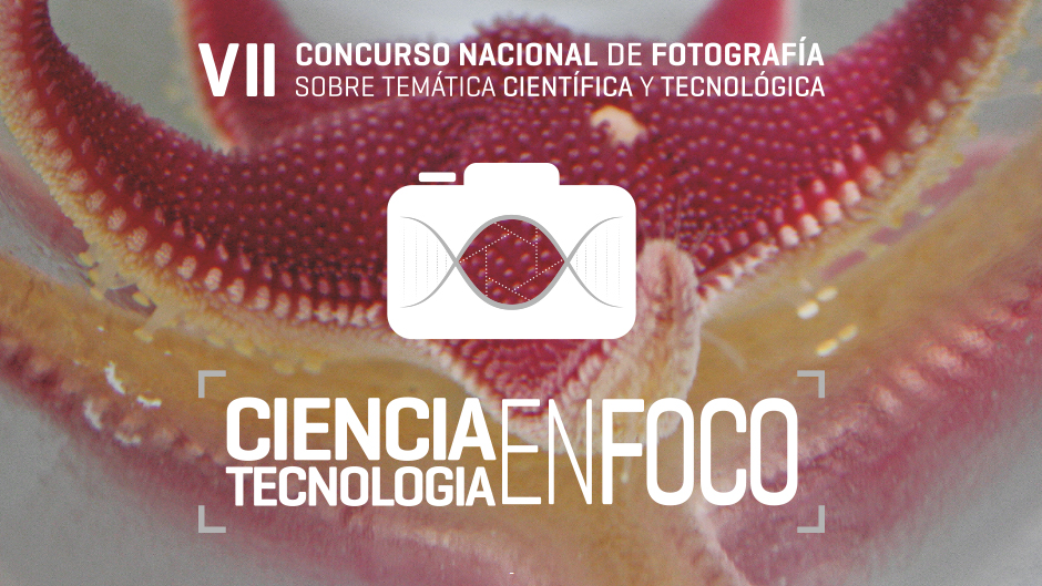 Concurso Ciencia y Tecnología en Foco